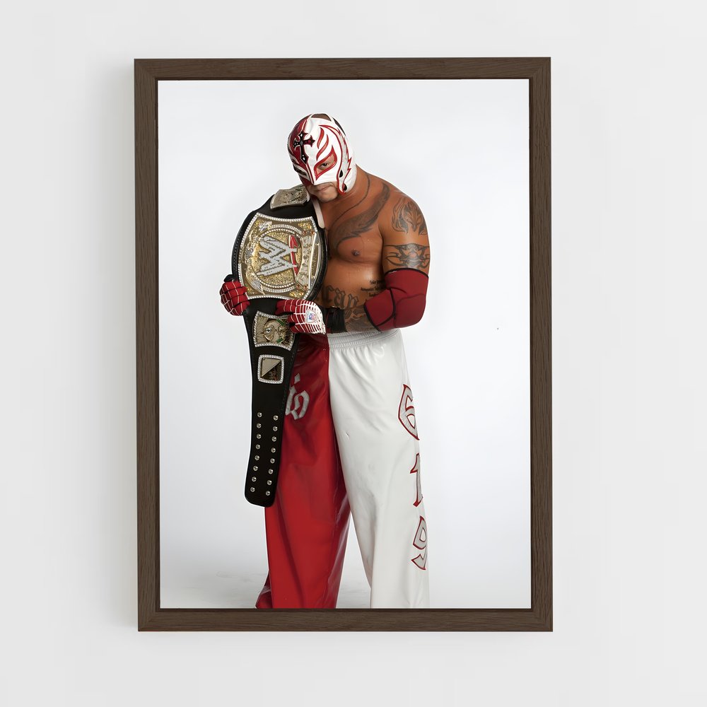 Poster Rey de mysterio (vue 5)